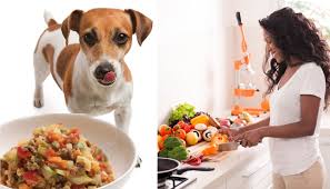 Easy and Nutritious Homemade Dog Meals